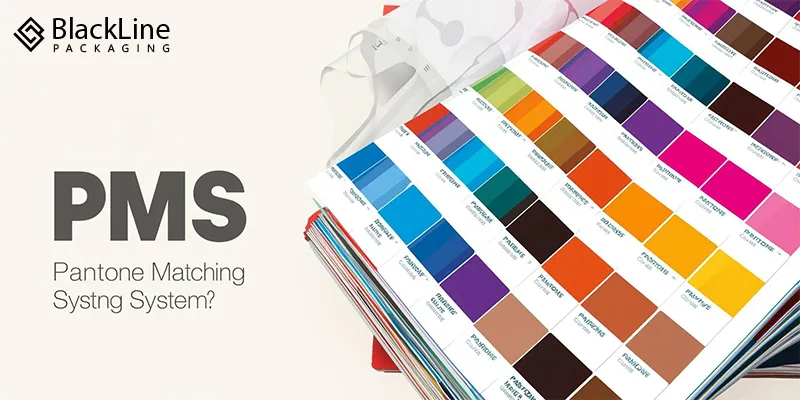 Understanding PMS Color